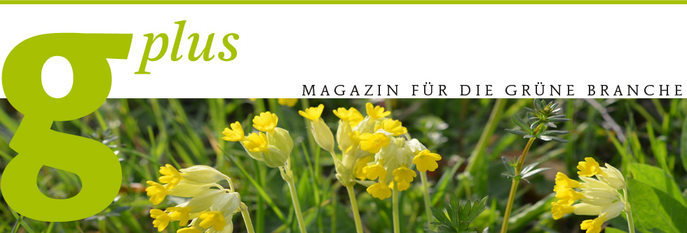 g'plus – Magazin für die grüne Branche