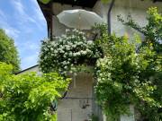 Luzern fördert Naturnähe im Privatgarten