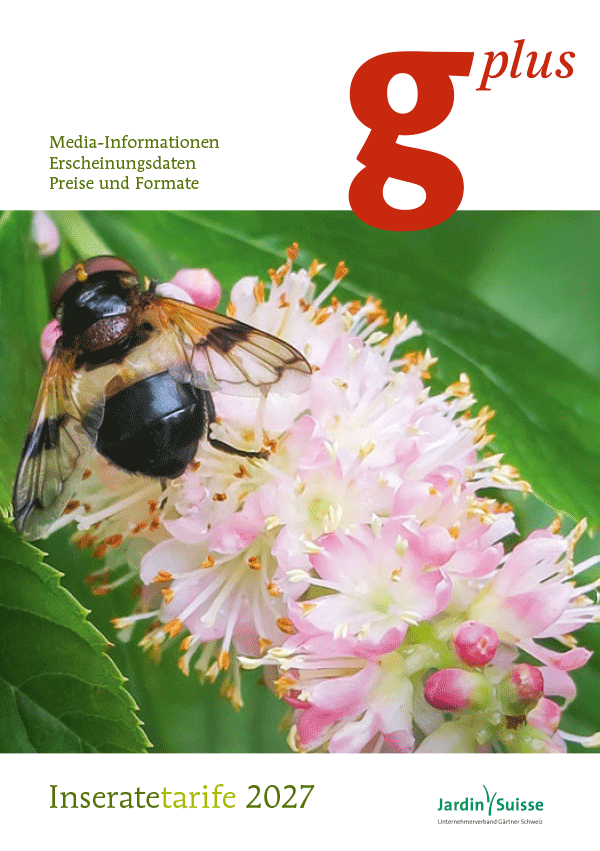 Media-Information