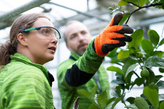 Die Weiterbildung in der Grünen Branche ist flexibel aufgebaut. Foto: zVg
