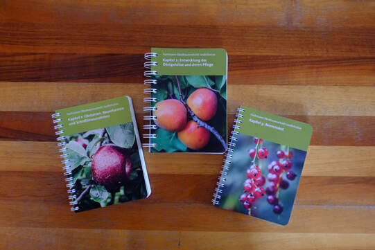 Immer mit dabei: Die Büchlein passen bestens in die Jackentasche. (Foto: Urs Rüttimann)