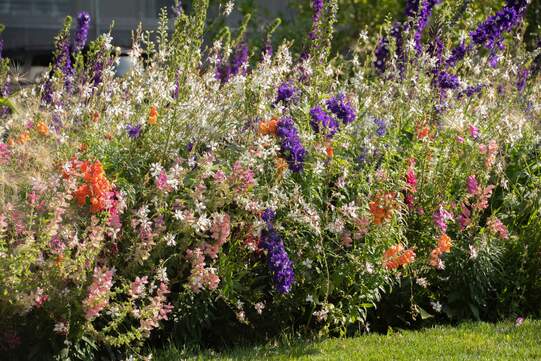 Die fünf attraktivsten Rabatten gewinnen Preise im Wert von 2000 Franken. Foto: zVg