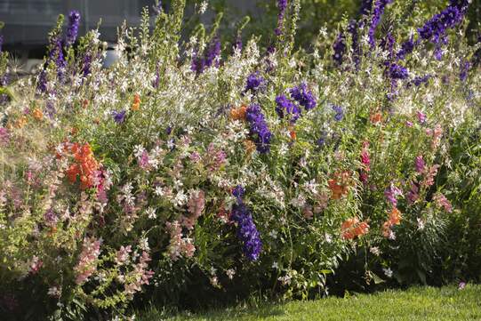 Die fünf attraktivsten Rabatten gewinnen Preise im Wert von insgesamt 2000 Franken. Foto: zVg