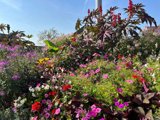 Blumen Joos GmbH, Wängi