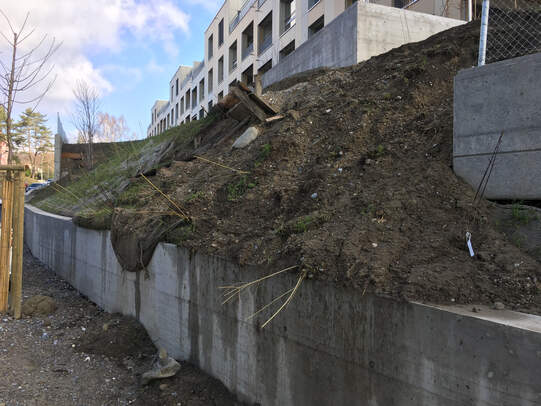 Mit dem neuen Online-Tool «Pukau» von Helvetia können Gartenbauer eigenständig Baugarantien abschliessen. Das neue Verfahren ist günstiger und schneller.  Foto: zVg