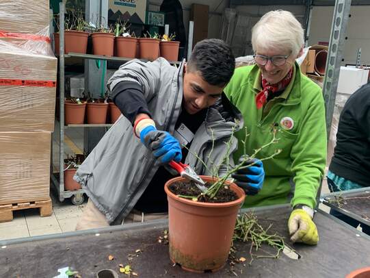 An den verschiedenen Stationen des Berufserkundungstages lernten die Jugendlichen unter anderem Rosenbüsche zu verschneiden und Frühblüher in kleinen Kompositionen zusammenzustellen. Zudem stand eine Honigverkostung auf dem Programm. Fotos: zVg