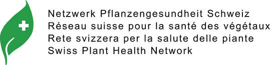 Das Logo des neuen Netzwerks. (zVg)