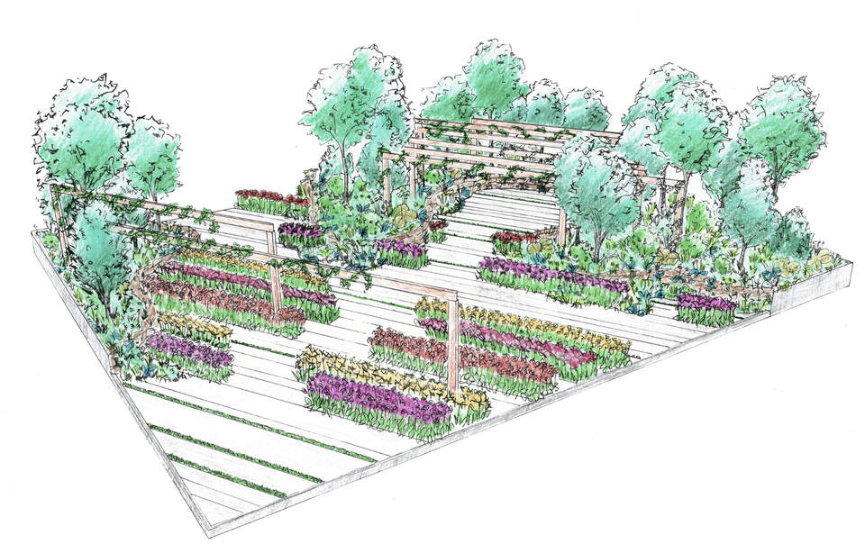 Visualisierung der JardinSuisse-Sonderschau «grünstattgrau». Der JardinSuisse-Auftritt bildet einen Spannungsbogen von formalen, urbanen Gestaltungselementen bis hin zum naturbelassenen Gartenraum in all seinen Facetten. Die architektonisch bepflanzte Piazza geht dabei in eine naturnahe Gehölz- und Staudenpflanzung über.
