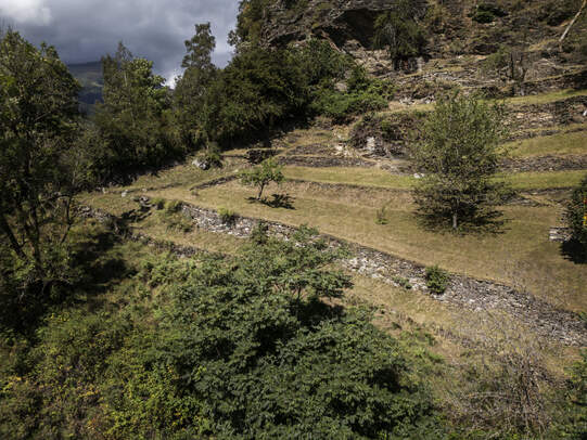 Die typische Terrassenlandwirtschaft mit Trockenmauern im Poschiavo.  Foto: Schweizer Heimatschutz