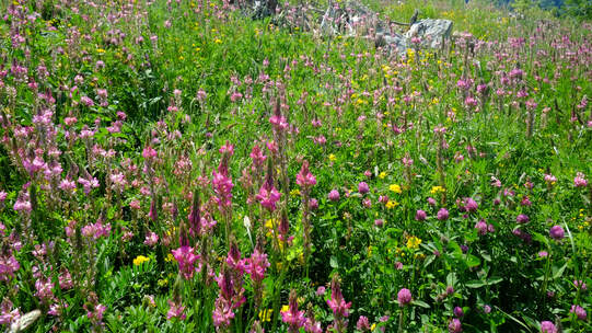 Foto: Urs Rüttimann