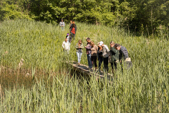 Ein Spaziergang durch das aufgewertete Areal ist erholsam. Zudem führen verschiedene Lebensräume von Pflanzen und Tieren die Vielfalt der Natur vor Augen. Foto: Stefanie Wuersch
