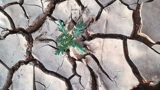 Europa auf Klimarisiken kaum vorbereitet