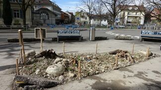 30. Berner Wildpflanzen Märit: Jubiläum startet mit Entsieglungsaktion