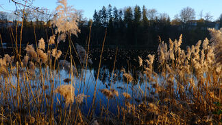 Aktionsplan gegen PFAS-Belastung
