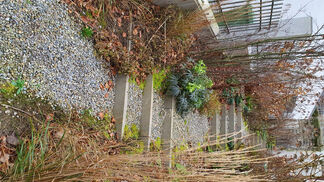 Über 100 Fachbetriebe Naturgarten zertifiziert