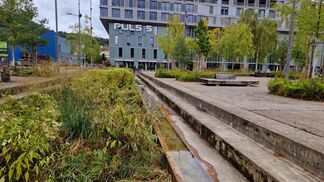 Hitzewellen in Städten erträglicher machen