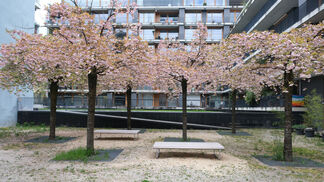 Förderung der Biodiversität 2025 bis 2030