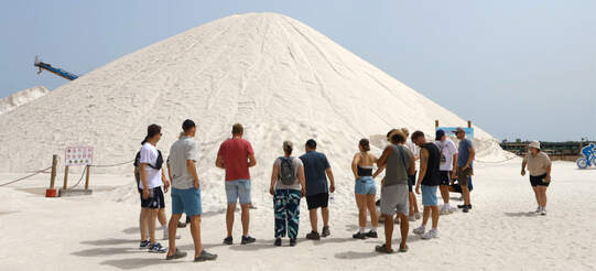 Die Reisegruppe vor einem der grossen Salzberge.