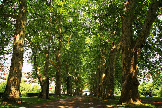 Foto: Rainer Sturm, Pixelio