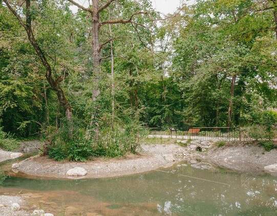 «Forêt urbaine du quartier de l’Étang» in Vernier. Foto: Timothé Beuret