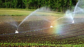 Wasserbedarf steigt um bis zu 20 Prozent