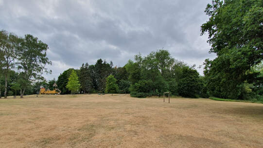 Grosse Trockenheit über einen langen Zeitraum setzt der Natur auch in unseren Breiten immer mehr zu: verdorrte Rasenflächen und Laubfall bereits in den Sommermonaten. Foto: Urs Rüttimann