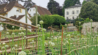 ProSpecieRara erhält Schulthess Gartenpreis