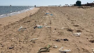 Studie zu Chemikalien in Kunststoffen