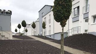 Gemeinde Elgg verbietet «Gärten des Grauens»