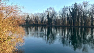 Noch viele Pestizide in Schweizer Gewässern