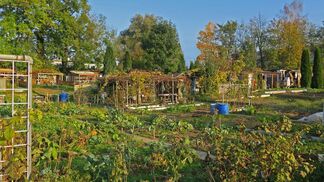 Gartenliebe in der DACH-Region