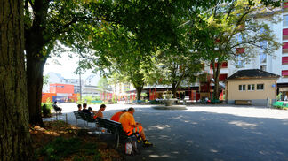 Mehr Stadtbäume – weniger Schädlinge