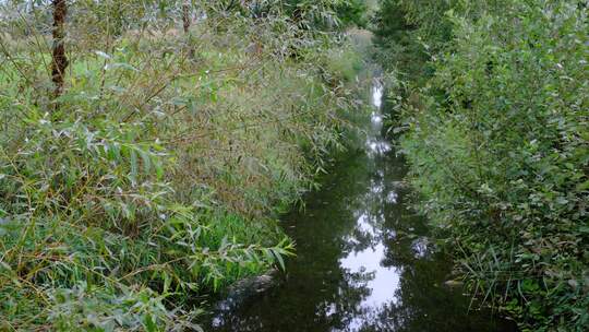 Artenverlust mit gravierenden Folgen