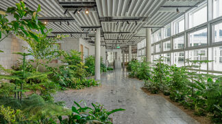 Eilo-Awards für begrünte Innenräume