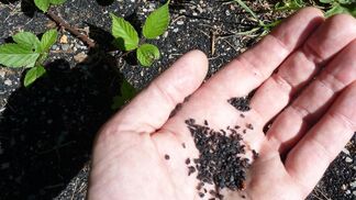 Mikroplastik wird in der EU verboten