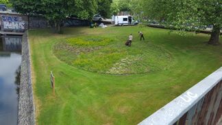 Kunst führt zurück zum ursprünglichen Rasen