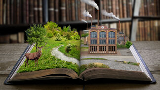 Artensterben in der Hausbibliothek