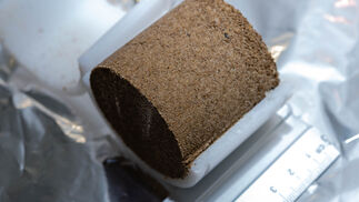 Pflanzenreste gut für Kohlenstoffdioxid-Bilanz