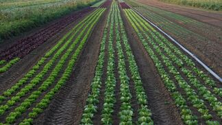 Kulturführung mit Punktebewertung