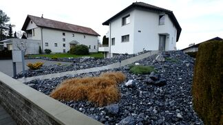 Nicht regulieren, sondern sensibilisieren