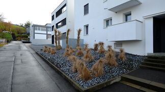 Dürfen Gemeinden Schottergärten verbieten?