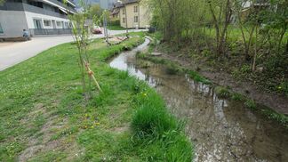 Zürich unterstützt künftige Gewässerwarte