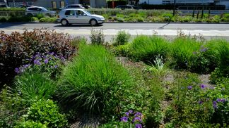 Luzern will Schwammstadt durchsetzen