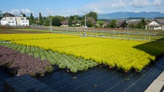 Kreislaufwirtschaft findet breite Zustimmung