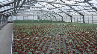 Neues CO2-Gesetz will fördern statt besteuern