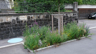 «Spiel ohne Grenzen» für mehr Stadtnatur