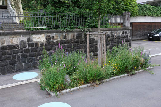 Auch für kleine zusätzliche Grünflächen erhalten die Gemeinden Punkte. Foto: Urs Rüttimann