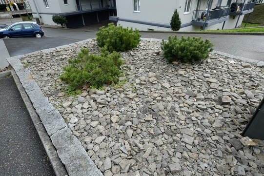 Heftige Niederschläge nehmen mit der Klimaerwärmung zu. Im Gegensatz zu Schottergärten mit Folien und versiegelten Flächen schützen dichte Pflanzbeete vor Wasserschäden. Foto: Urs Rüttimann