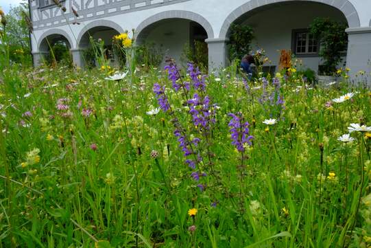 Pensionskassen, Finanzwirtschaft und Finanzaufsichtsbehörden können Klima- und Biodiversitätsziele in ihr Handeln integrieren. Foto: UR
