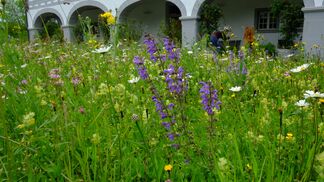 Coaches beraten für mehr Natur im Garten